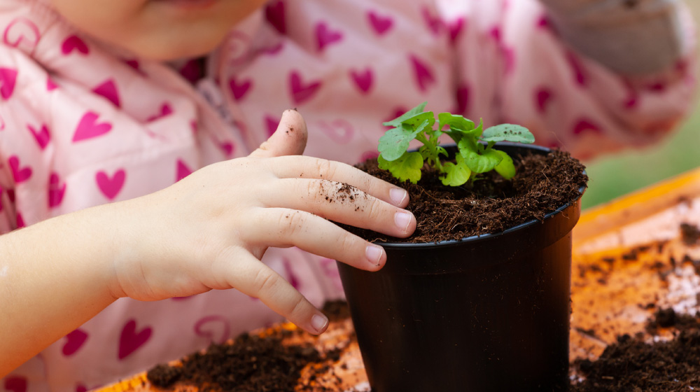 Sustainability in Early Childhood: How Aware Bear Helps You Raise Eco-Warriors